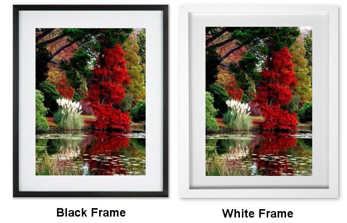 Autumn Lake Framed Print